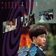 蓝色风暴(1991年罗嘉良主演TVB电视剧)