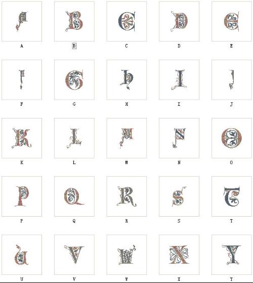 字母 字母