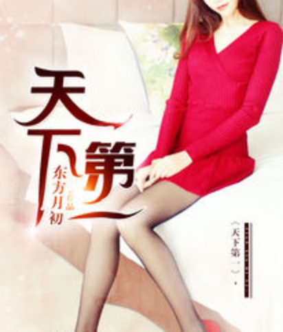 天下第一(暗夜文学网小说)