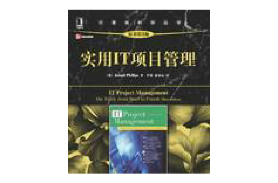 实用IT项目管理
