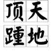 顶天踵地