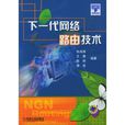 下一代网路路由技术