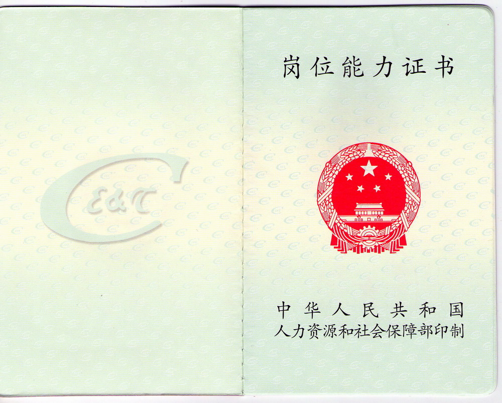 财务审计师 财务审计师