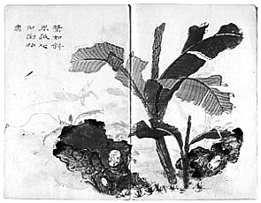 《芥子园画谱》 《芥子园画谱》