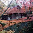 奈良县(奈良)