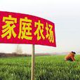 家庭农场(农业经营形式)