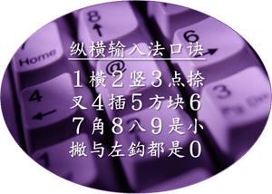 纵横汉字输入法 纵横汉字输入法