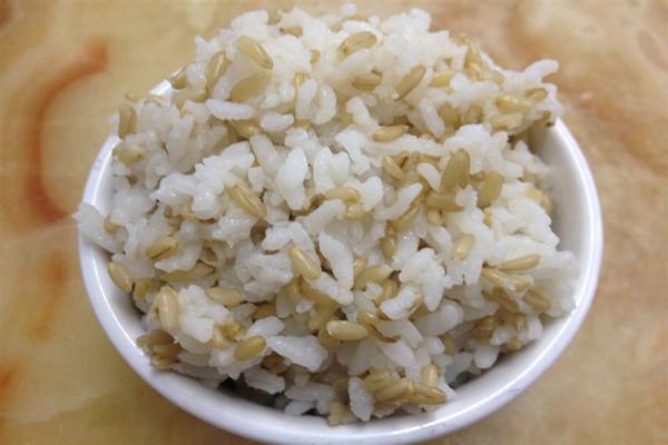 燕麦二米饭