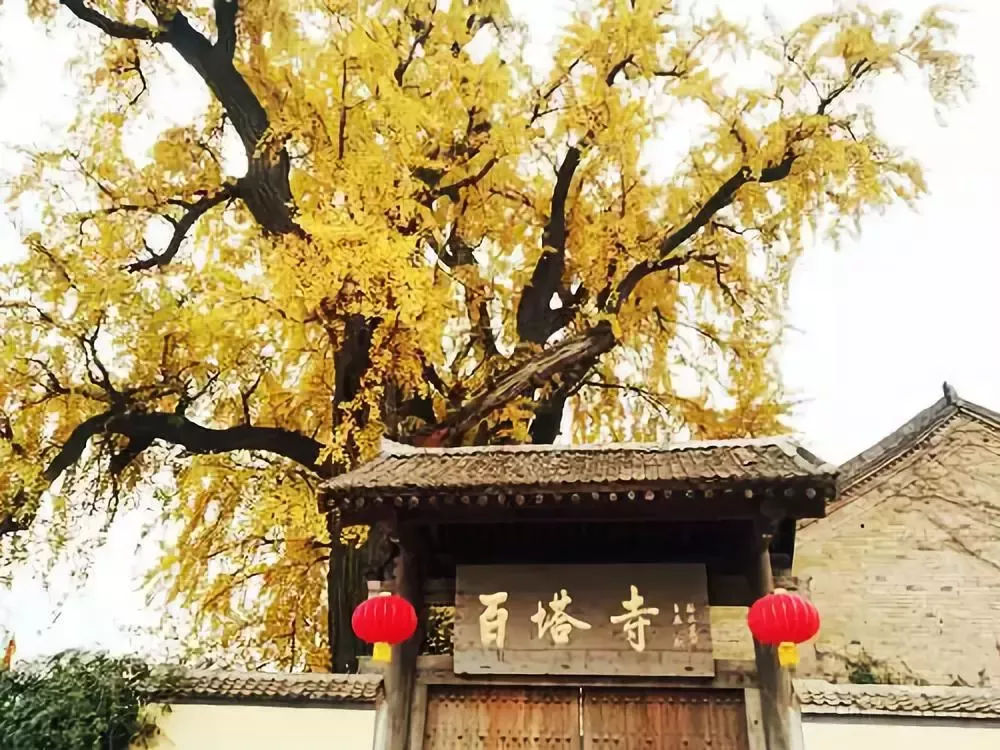百塔寺