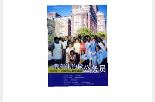 我在纽约做公务员