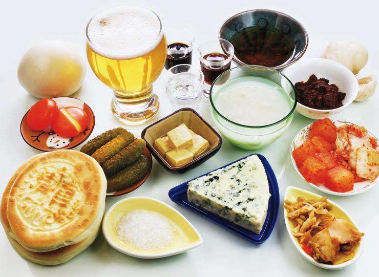 发酵食品微生物
