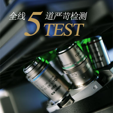 钱皇 钱皇