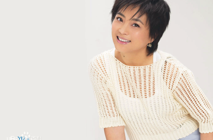 为了你(李玲玉演唱歌曲)