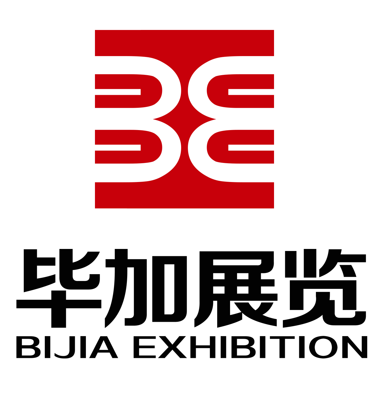 毕加展览