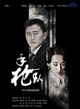 高洋(中国内地女演员)