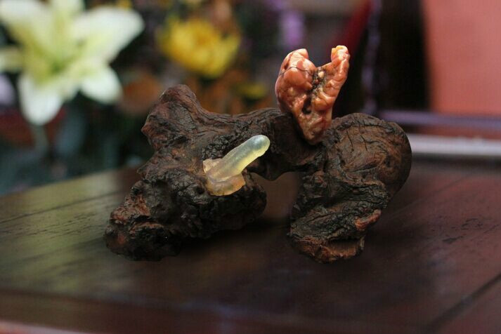 恭王府旧藏阴阳石 恭王府旧藏阴阳石
