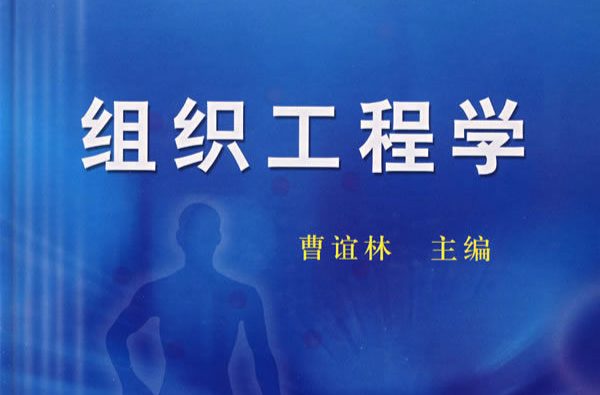 工程学(名词解析)