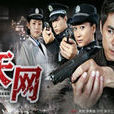 天网(2011年王国贤执导电视剧)