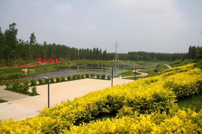 近海水生花卉园 近海水生花卉园