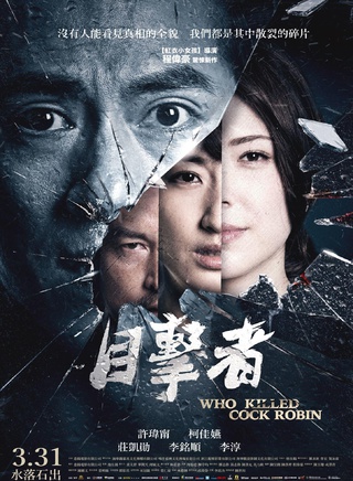 许玮甯(许玮宁)
