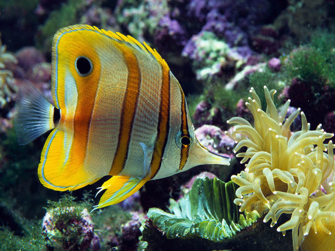 3D海底世界水族馆