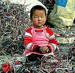 遭受重金属污染伤害的儿童 遭受重金属污染伤害的儿童
