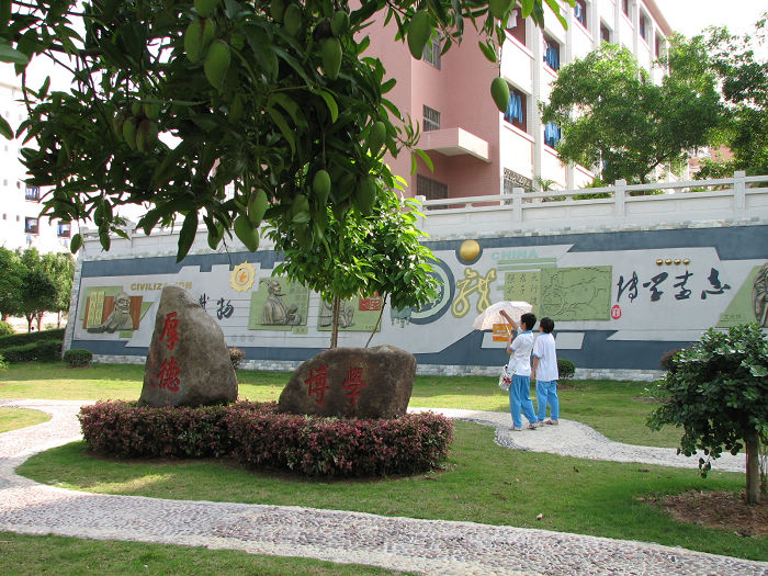 德育文化墙 德育文化墙