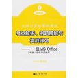 例题精解与实战练习：一级MS Office