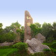 仙林大学城(南京仙林大学城)