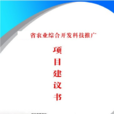 项目建议书