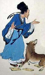 中山狼 中山狼