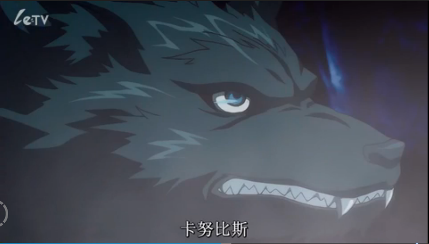 黑猫(black cat)
