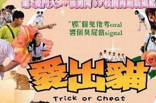 爱出猫