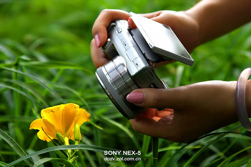 NEX-5机身后背配备可翻转液晶屏 NEX-5机身后背配备可翻转液晶屏