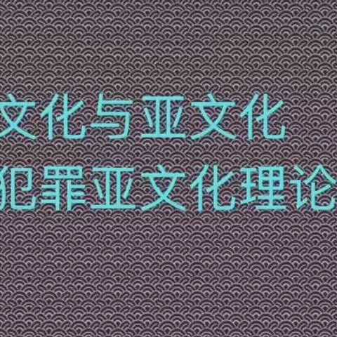 犯罪亚文化理论