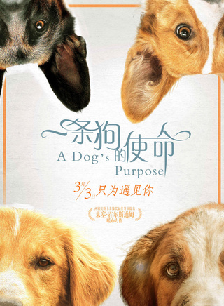 布丽特妮·罗伯森