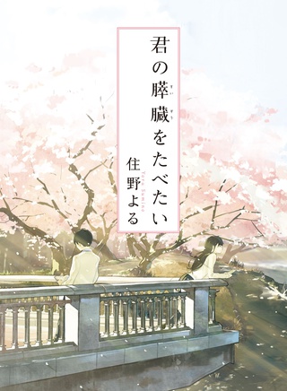 滨边美波