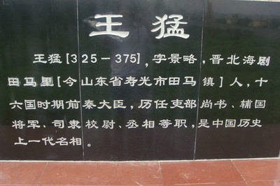 王猛除恶 王猛除恶
