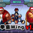 闪翼拳皇1.6