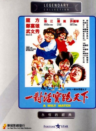 龙方(香港演员)