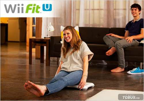wii fit wii fit