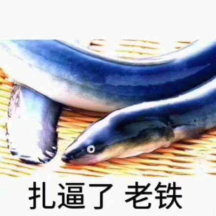 男人都是鳝变的 男人都是鳝变的