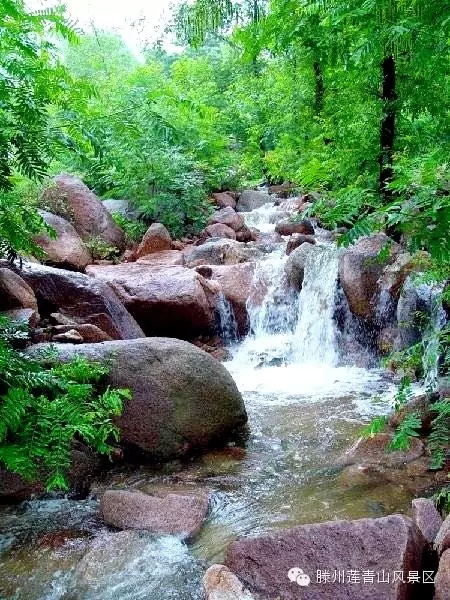 莲青山 莲青山