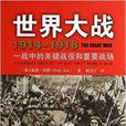 世界大战1914-1918：一战中的关键(世界大战1914-1918)
