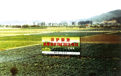 保护耕地就是保护我们的生命线 保护耕地就是保护我们的生命线