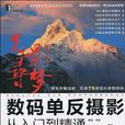光影寻梦