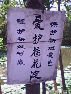 紫泉河 紫泉河