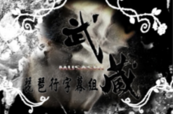 武藏(日本2003年市川新之助主演的大河剧)