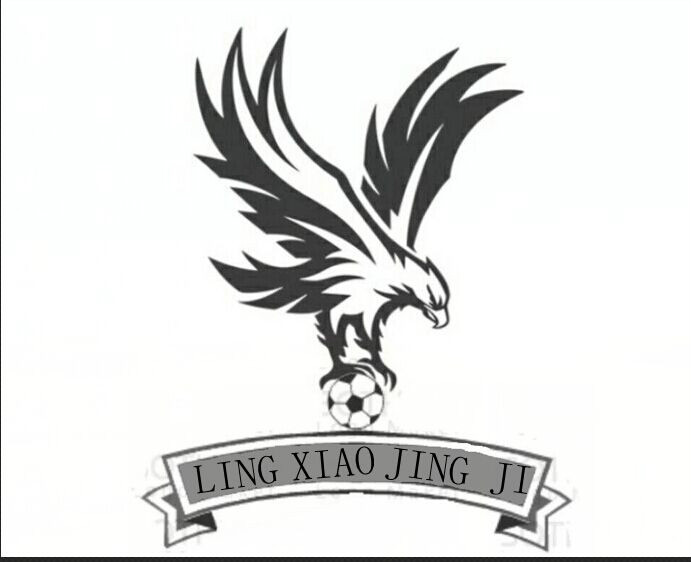 凌霄竞技足球俱乐部