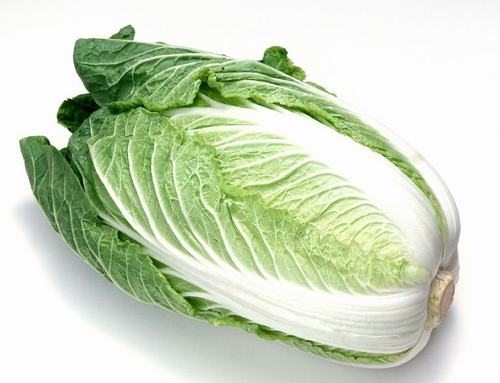 滏河贡白菜 滏河贡白菜